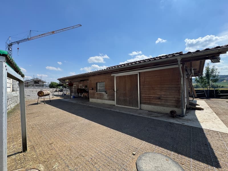 3 Familienhaus mit Pferdestall, Reitplatz, Naturpool und Überlaufbecken (19)