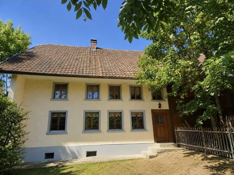 Charmantes Bauernhaus mit grosszügigem Bauland und viel Potenzial (1)