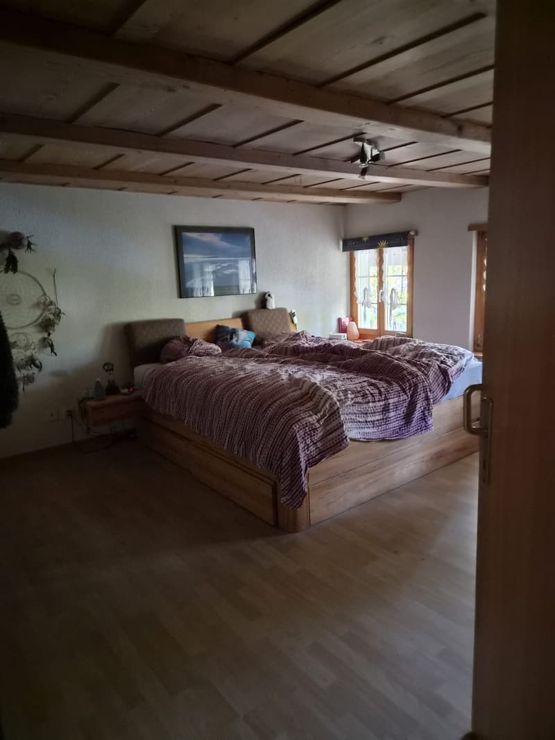 Charmantes Bauernhaus mit grosszügigem Bauland und viel Potenzial (10)