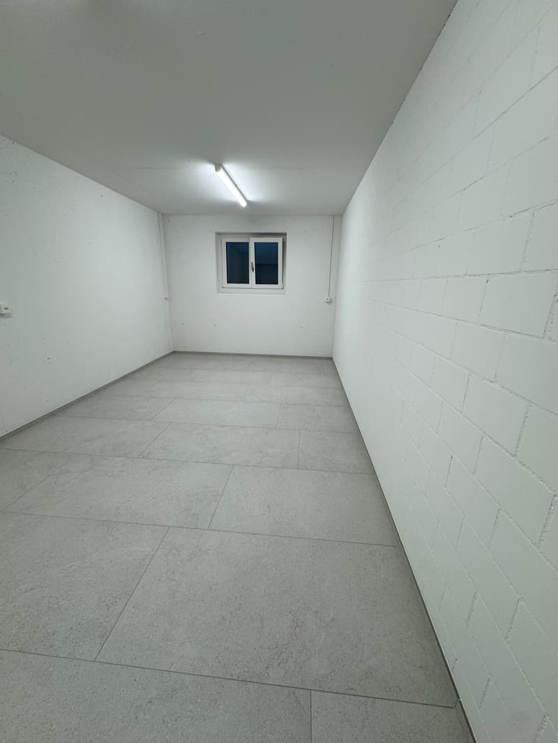 Freistehendes 5.5 Zi. EFH mit Weit- + etwas Seesicht, im Steuerparadies Meisterschwanden (21)