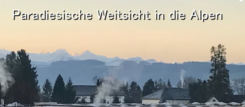 Freistehendes 5.5 Zi. EFH mit Weit- + etwas Seesicht, im Steuerparadies Meisterschwanden (3)
