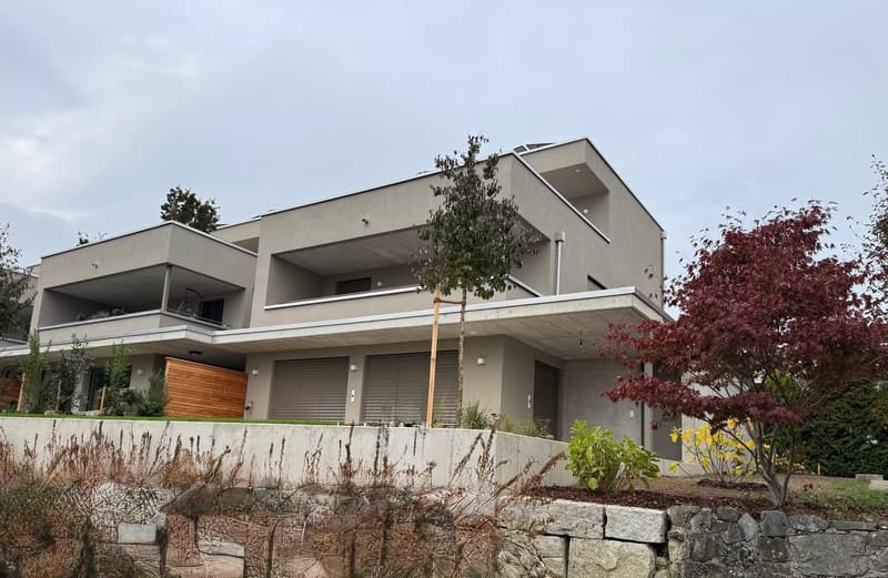 Freistehendes 5.5 Zi. EFH mit Weit- + etwas Seesicht, im Steuerparadies Meisterschwanden (5)