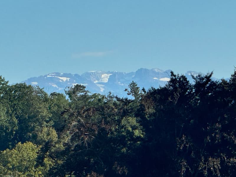 Freistehendes 5.5 Zi. EFH mit Weit- + etwas Seesicht, im Steuerparadies Meisterschwanden (4)