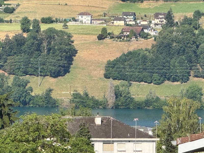 Freistehendes 5.5 Zi. EFH mit Weit- + etwas Seesicht, im Steuerparadies Meisterschwanden (18)