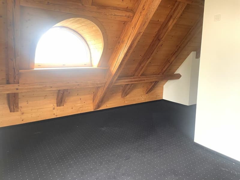 Helle Büroräume in historischer Villa in Wädenswil (7)