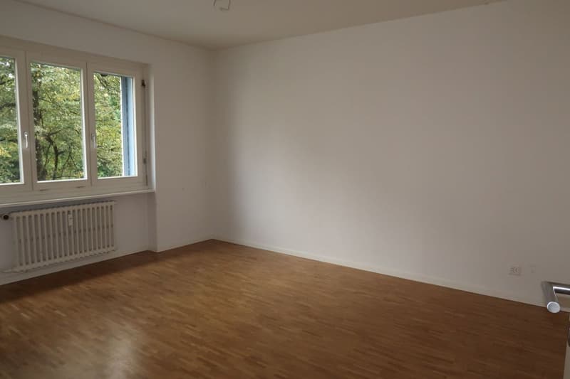 Appartamento accogliente di 2,5 locali a Oerlikon (4)