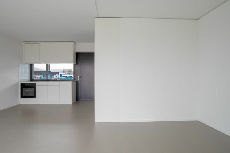 Bel appartement 2.5 pièces à Schlieren (2)