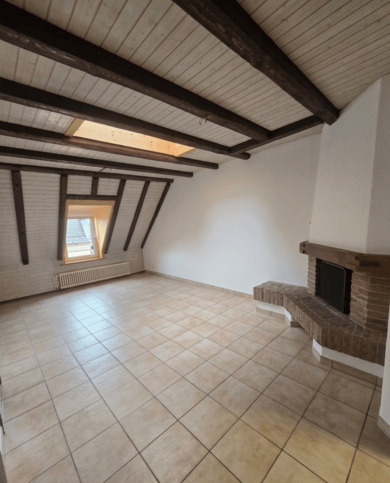 Appartamento 2.5 locali vicino a Lochergut (3)