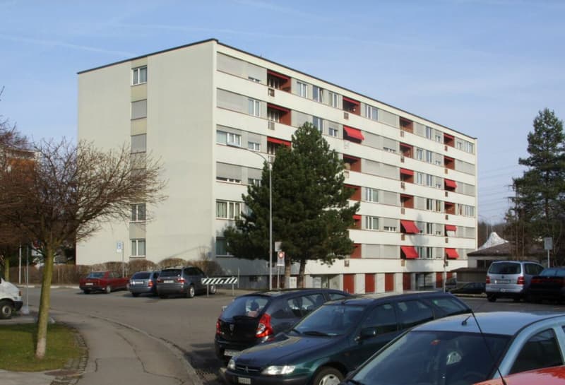 Attractive 3-room apartment with balcony in Schwammendingen (1)