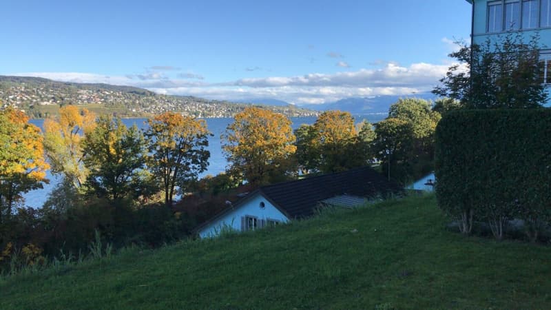 Dream home with lake view! (2)