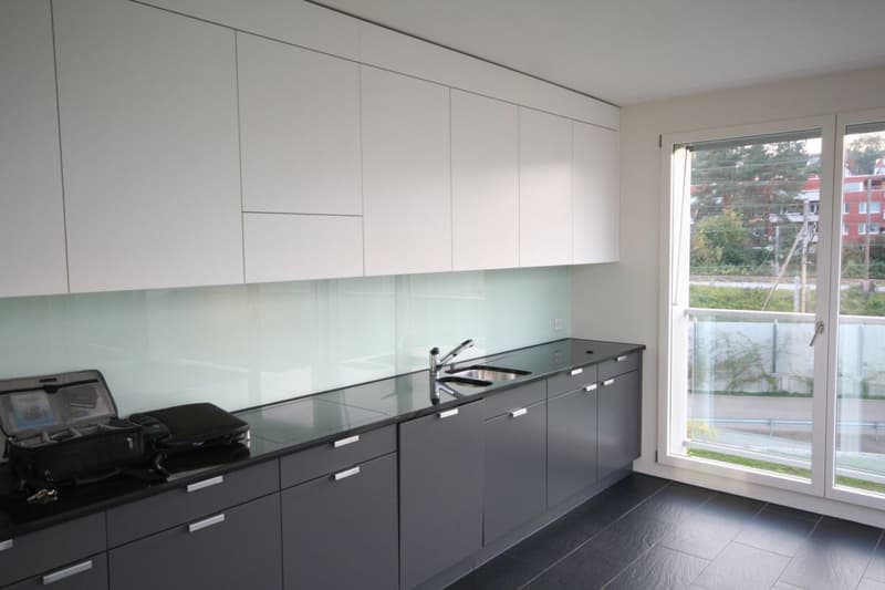 Dream home with lake view! (4)