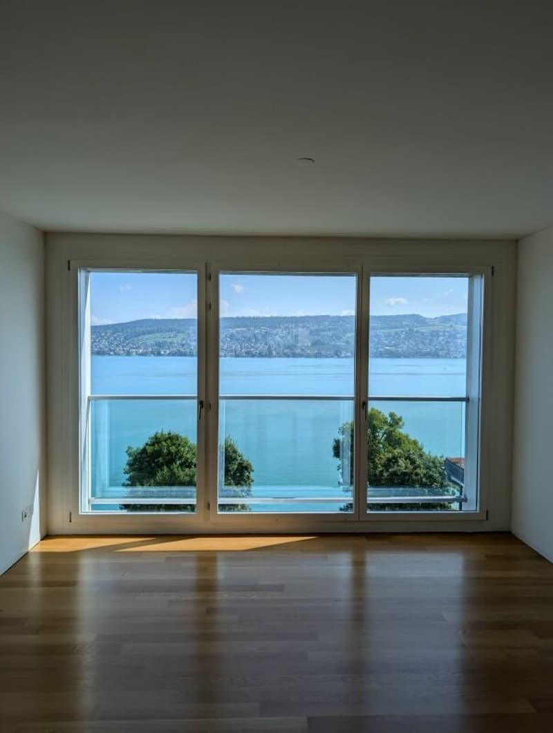 Dream home with lake view! (6)