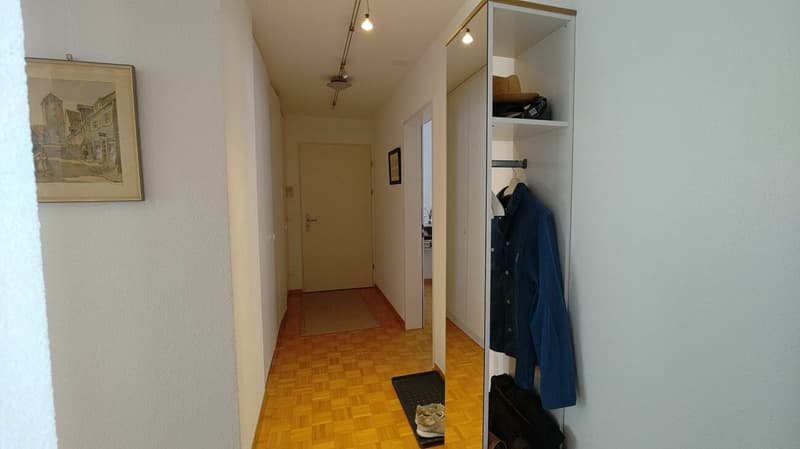 Appartamento 3.5 locali curato ad Adliswil (2)