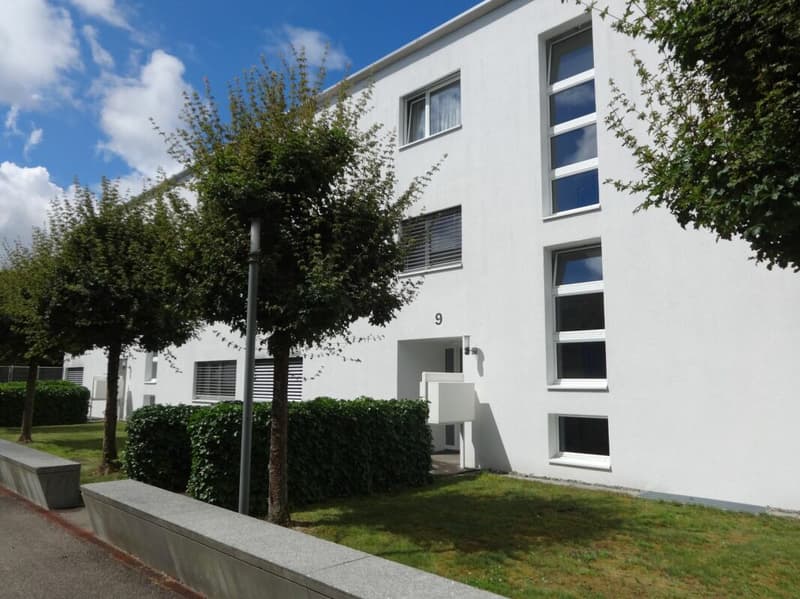 Appartamento 3.5 locali curato ad Adliswil (1)