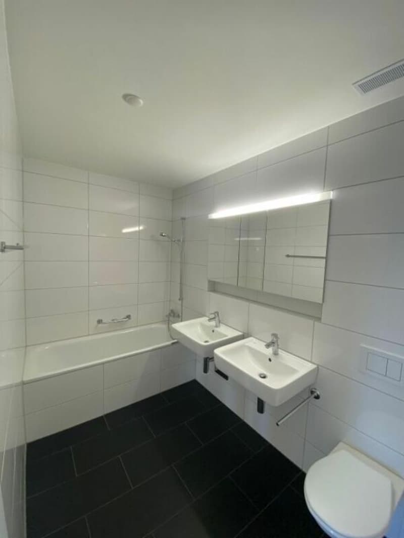 Stile di vita urbano a Thalwil (5)
