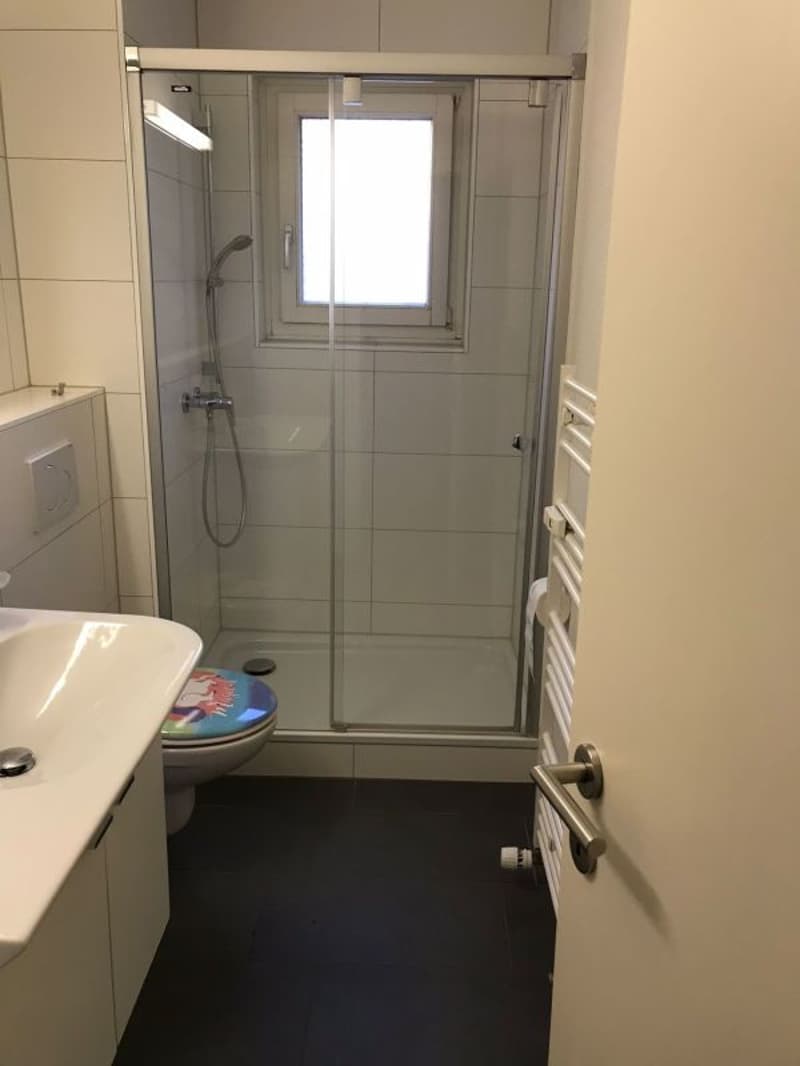 gemütliche 2.5-Zimmer-Wohnung in Oerlikon (2)