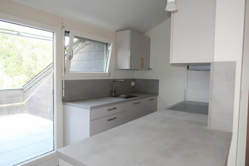 Appartement de 2,5 pièces rénové à neuf à Stallikon ! (7)