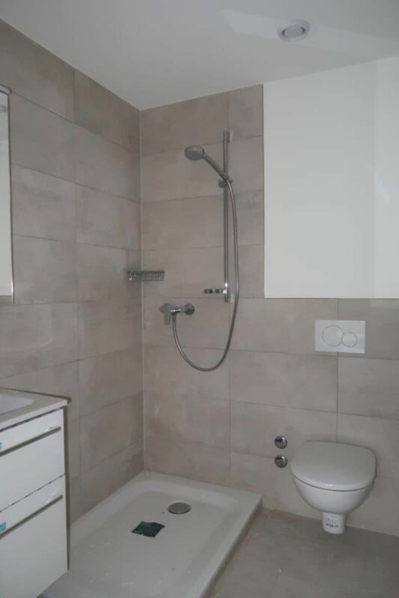 Appartement de 2,5 pièces rénové à neuf à Stallikon ! (6)