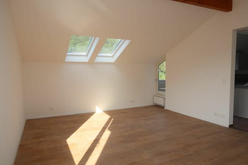 Appartement de 2,5 pièces rénové à neuf à Stallikon ! (4)