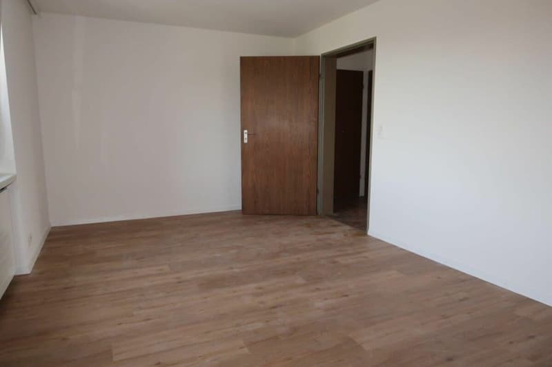 Appartement de 2,5 pièces rénové à neuf à Stallikon ! (3)
