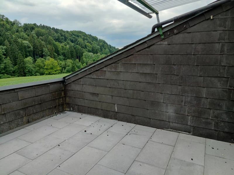Appartement de 2,5 pièces rénové à neuf à Stallikon ! (9)