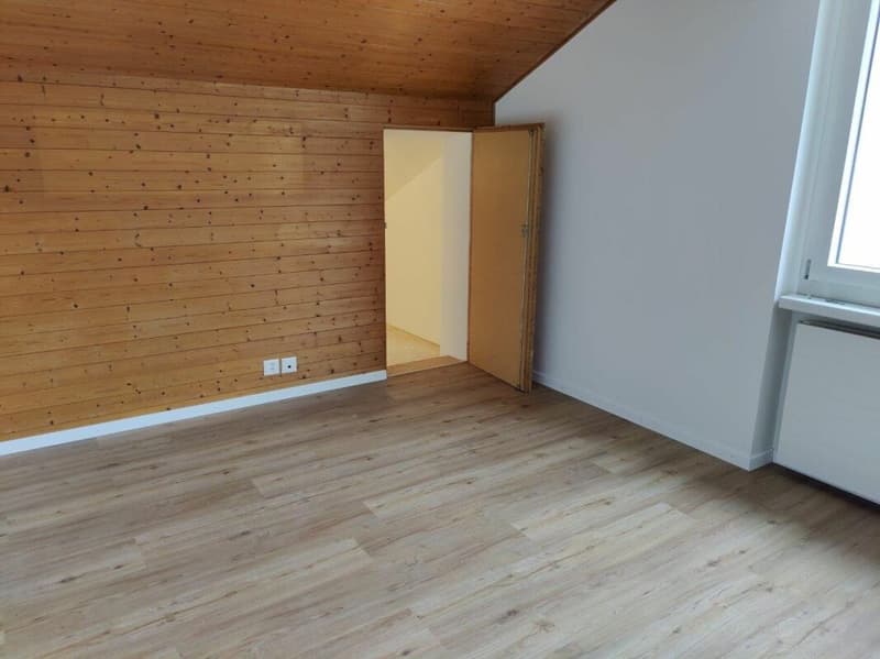 Appartement de 2,5 pièces rénové à neuf à Stallikon ! (2)