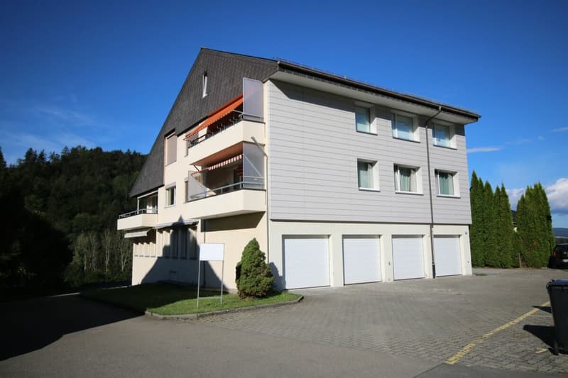 Appartement de 2,5 pièces rénové à neuf à Stallikon ! (1)