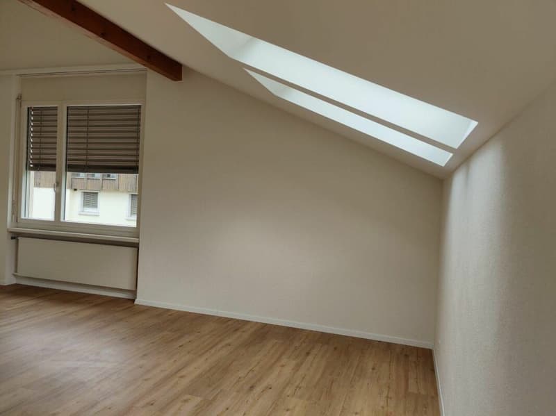 Appartement de 2,5 pièces rénové à neuf à Stallikon ! (5)