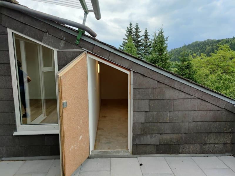 Appartement de 2,5 pièces rénové à neuf à Stallikon ! (8)