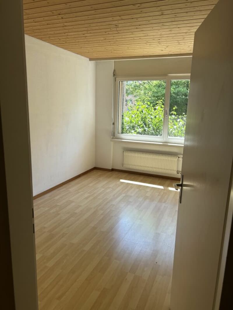 Ampio appartamento familiare a Dübendorf (10)