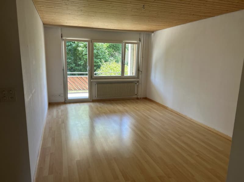 Ampio appartamento familiare a Dübendorf (5)