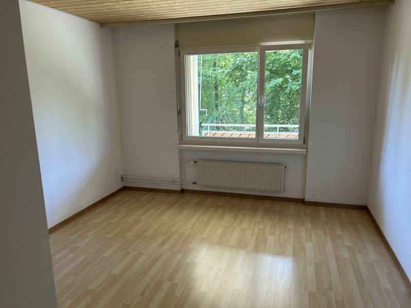 Ampio appartamento familiare a Dübendorf (7)