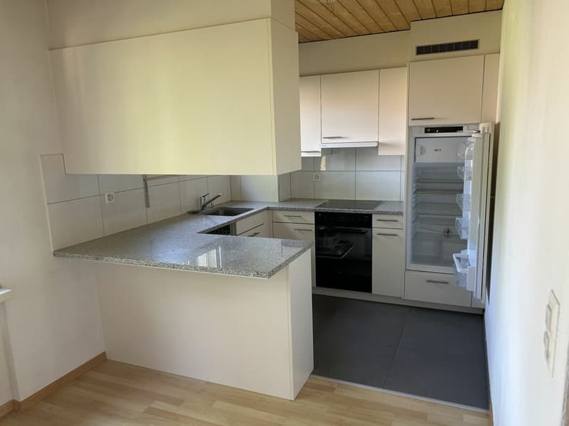 Ampio appartamento familiare a Dübendorf (2)