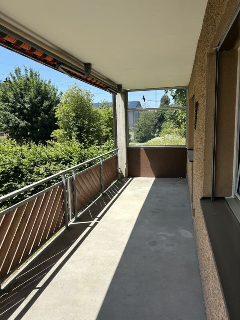 Ampio appartamento familiare a Dübendorf (6)