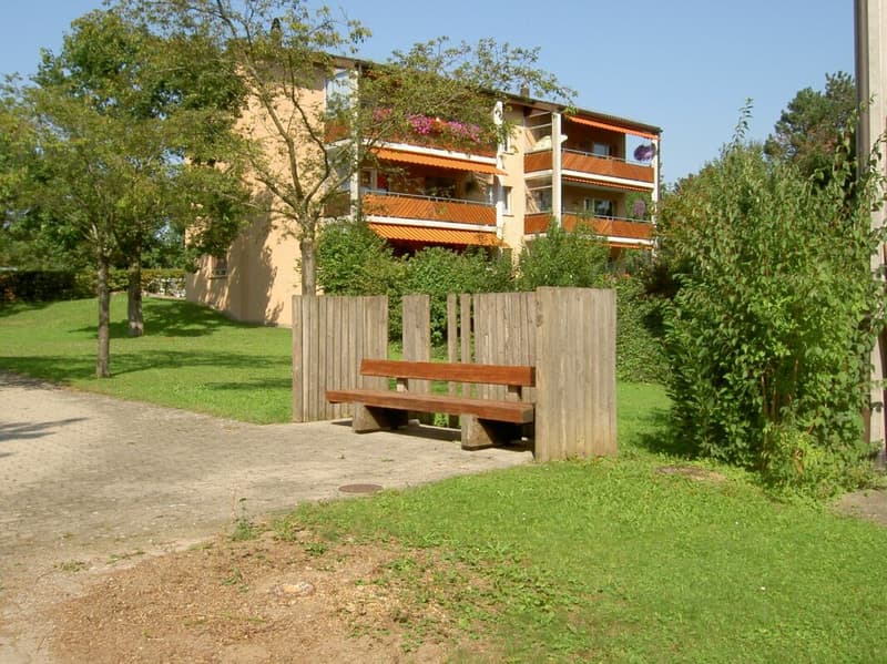 Ampio appartamento familiare a Dübendorf (1)