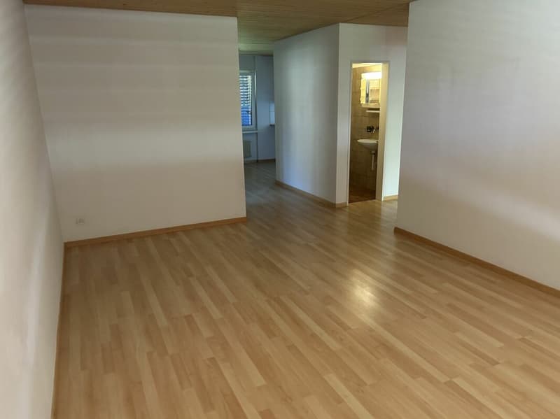 Ampio appartamento familiare a Dübendorf (4)