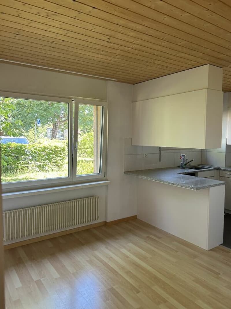 Ampio appartamento familiare a Dübendorf (3)