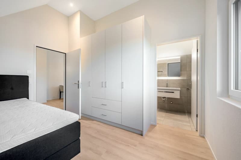 Furnished 2.5 attic apartment in the heart of Oerlikon (5)