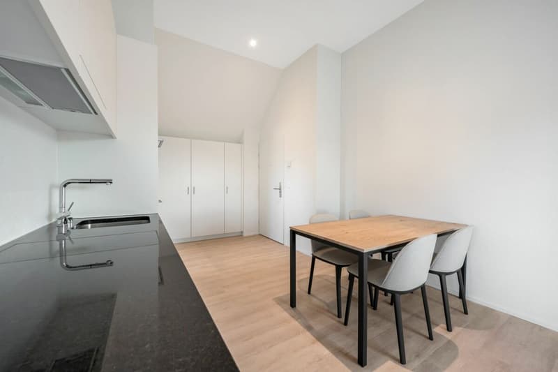Furnished 2.5 attic apartment in the heart of Oerlikon (3)