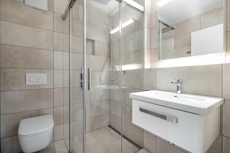 Furnished 2.5 attic apartment in the heart of Oerlikon (6)
