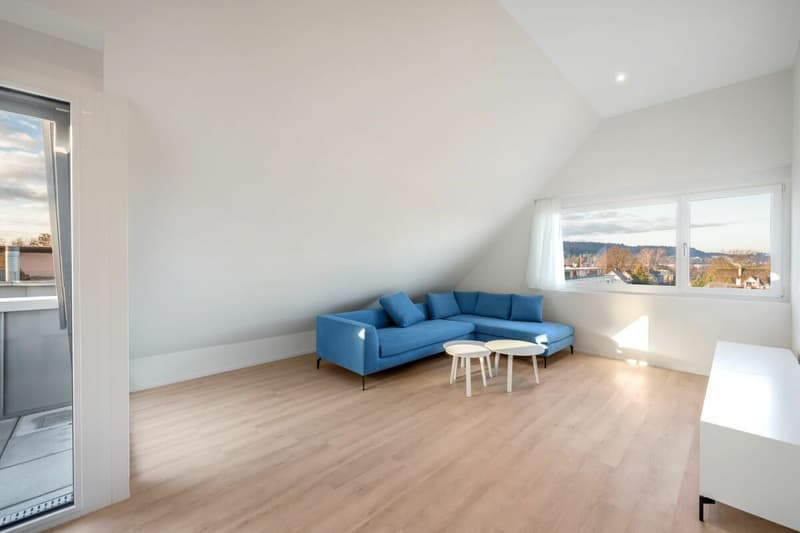 Furnished 2.5 attic apartment in the heart of Oerlikon (4)