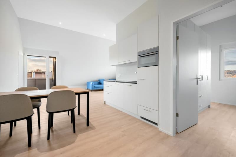 Furnished 2.5 attic apartment in the heart of Oerlikon (2)