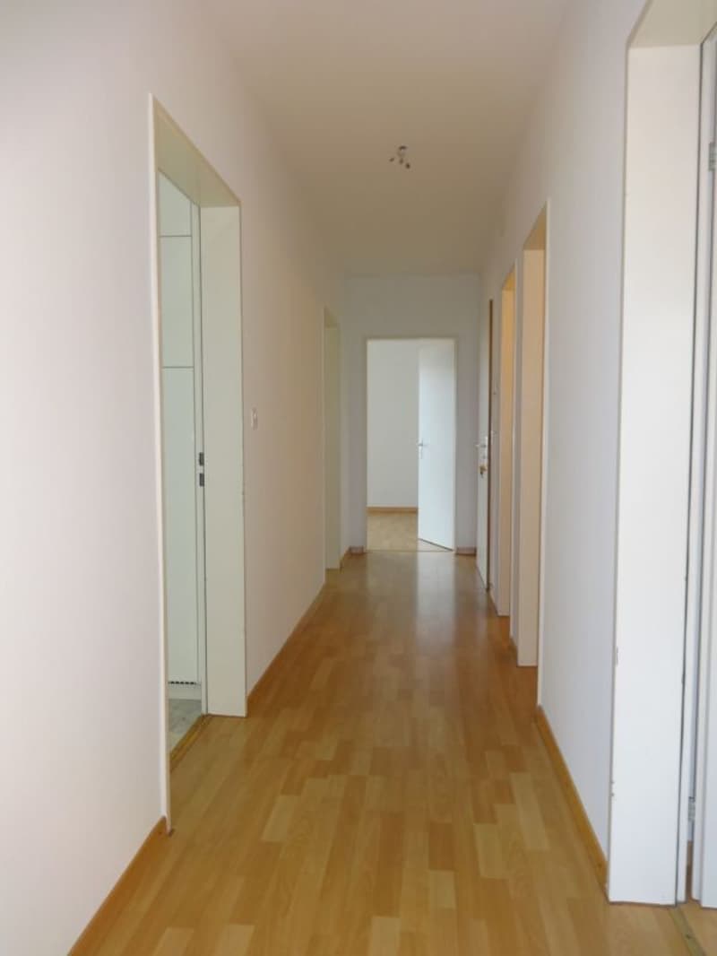 Attraktive 4-Zimmer-Wohnung in Winterthur-Wülflingen (4)