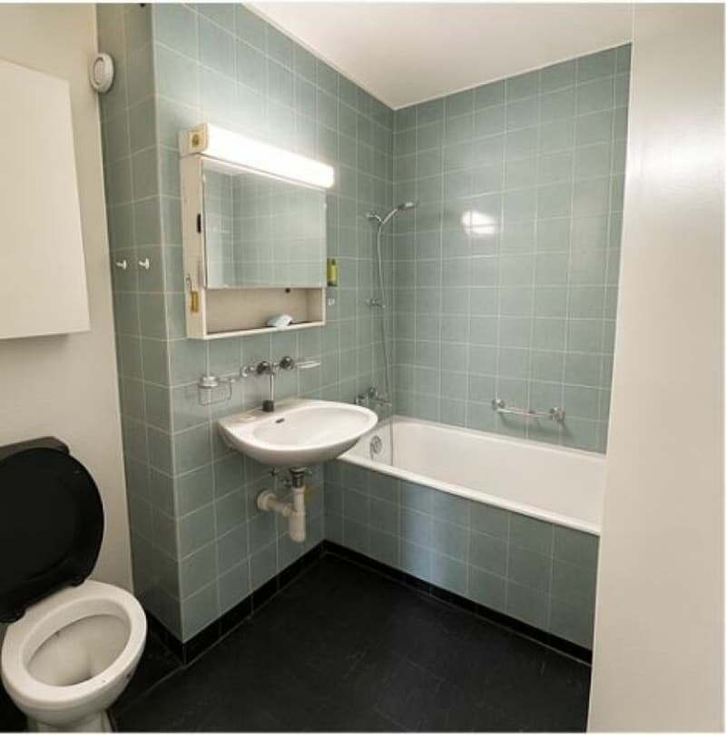 Temporary 3.5-room apartment with lake view in Kilchberg (6)