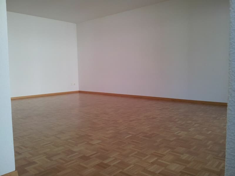Bel appartement 2.5 pièces au rez-de-chaussée (4)