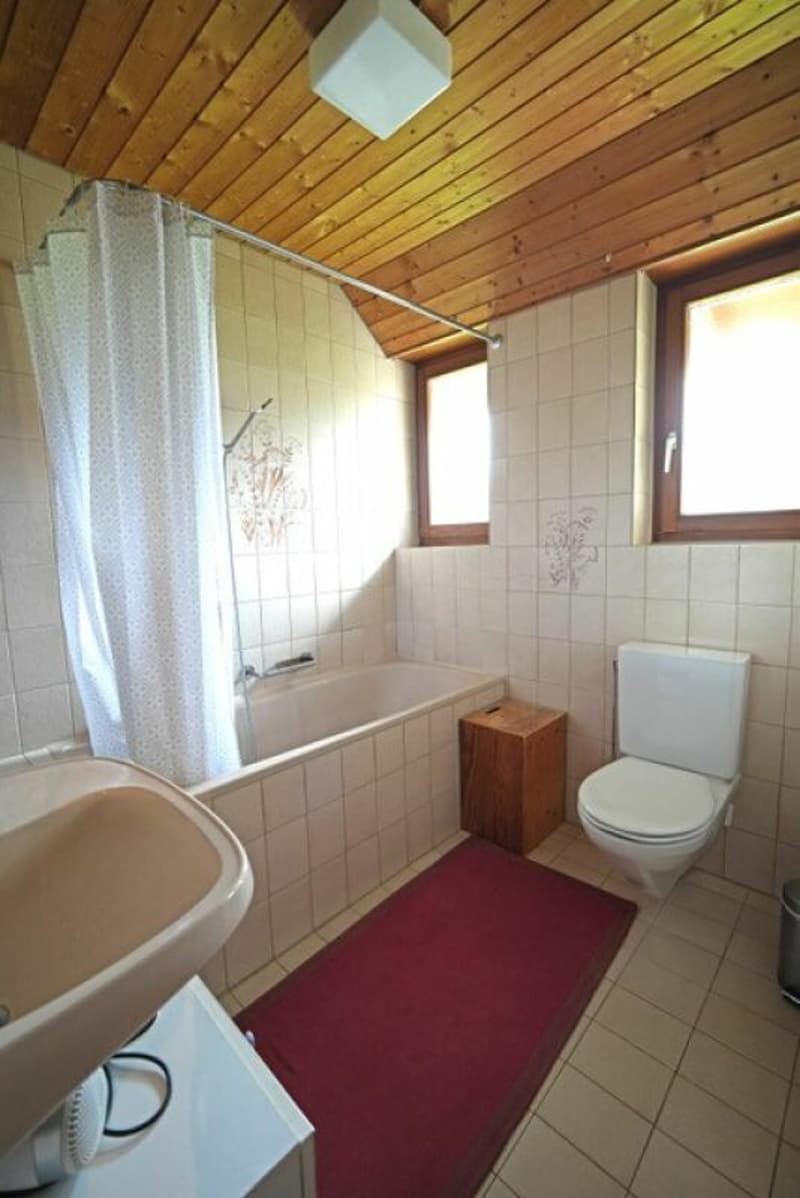 Urchige 4.5 Zimmer Wohnung in Uster (3)