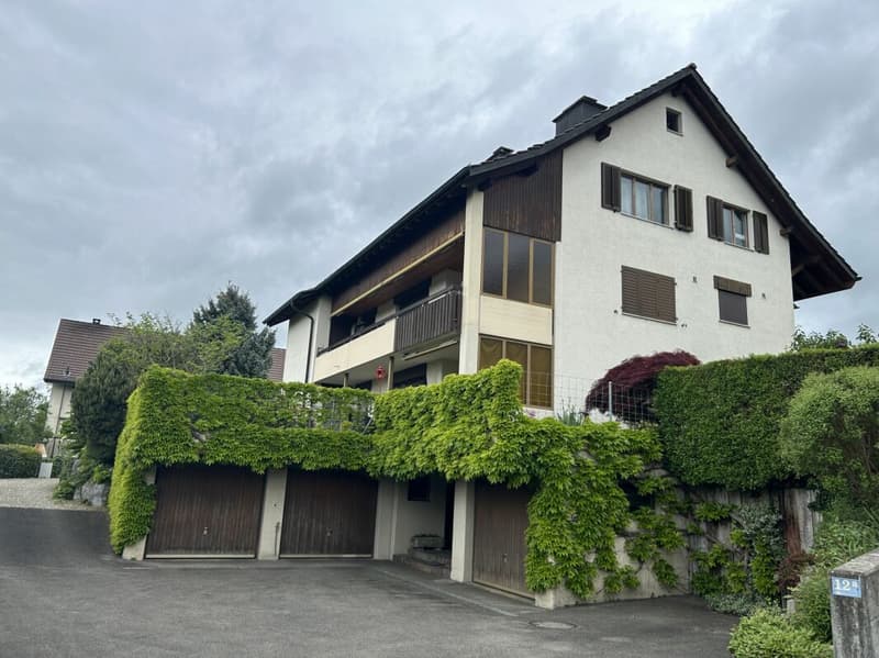 Urchige 4.5 Zimmer Wohnung in Uster (1)