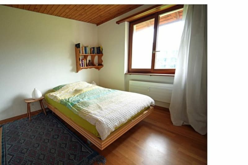 Urchige 4.5 Zimmer Wohnung in Uster (6)