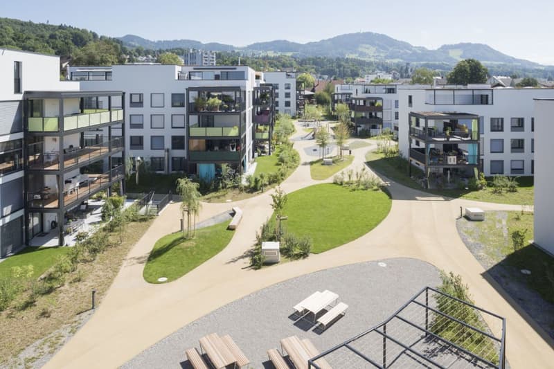Aussenansicht Überbauunng-MOSAIK