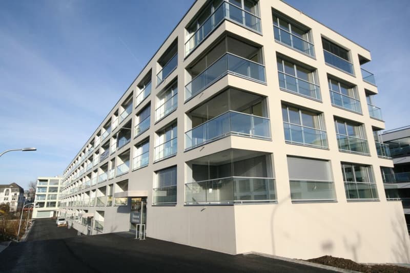 Moderne 3.5 Zimmer-Wohnung an top Lage (1)